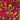 Cream - Disraeli Gears LP (180g)