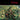 Live - Throwing Copper: 25th Anniversary 2LP