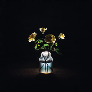 Billy Strings - Renewal 2LP