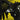 Twenty One Pilots - Trench 2LP