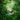 Weezer - SZNZ: Spring LP (MARKDOWN)