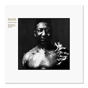 Muddy Waters - After The Rain
