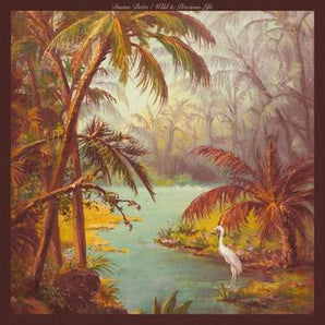 Duane Betts - Wild & Precious Life 2LP (180g) (MARKDOWN)