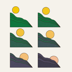 Flore Laurentienne - Volume 1 LP