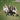Haim - Days Are Gone CD