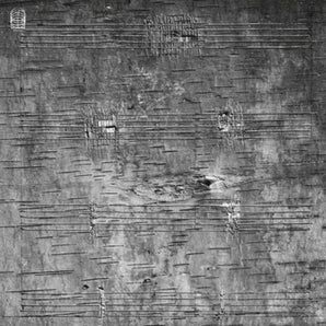 Timothy Archambault - Onimikig LP