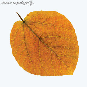 Pete Jolly - Seasons LP (Amber Vinyl)