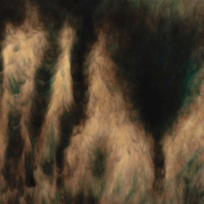 William Basinski - Lamentations LP