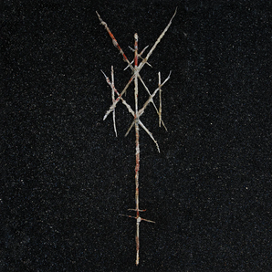 Wiegedood - There's Always Blood at the End of the Road 2LP (MARKDOWN)