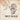 Brett Newski - American Folk Armageddon LP