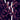 Plebian Grandstand - Rien Ne Suffit LP (Clear Purple Vinyl) (MARKDOWN)