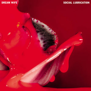 Dream Wife - Social Lubrication LP (MARKDOWN)