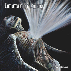 Innumerable Forms - Pain Effulgence CD