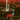 Blood Incantation - Starspawn CD