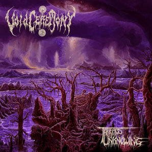 Voidceremony - Threads Of Unknowing LP (Violet w/Black Splatter vinyl) (MARKDOWN)