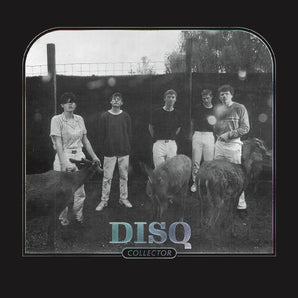 Disq - Collector LP (MARKDOWN)
