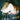 Wet Leg - Wet Leg LP