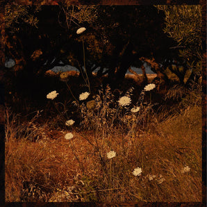 Szun Waves - Earth Patterns (INDIE EXCLUSIVE, "BROWN SMOKE" VINYL) (MARKDOWN)