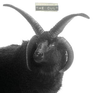 The Cult - The Cult LP (Ivory Vinyl) (MARKDOWN)
